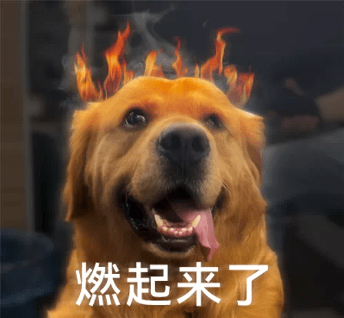 小黄人的头像-乐享网