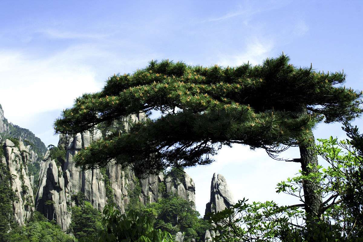 yanglei的头像-乐享网